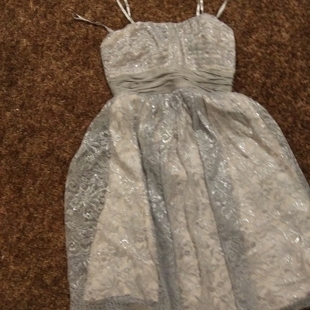 Sparkly grey lace dress